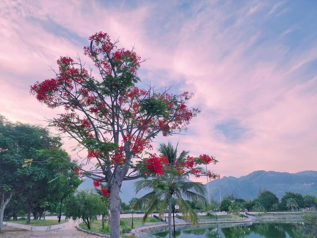 Moc Homestay- Near Bai Dai Beach Cam Lam Buitenkant foto