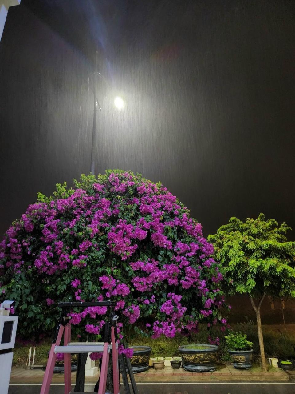 Moc Homestay- Near Bai Dai Beach Cam Lam Buitenkant foto
