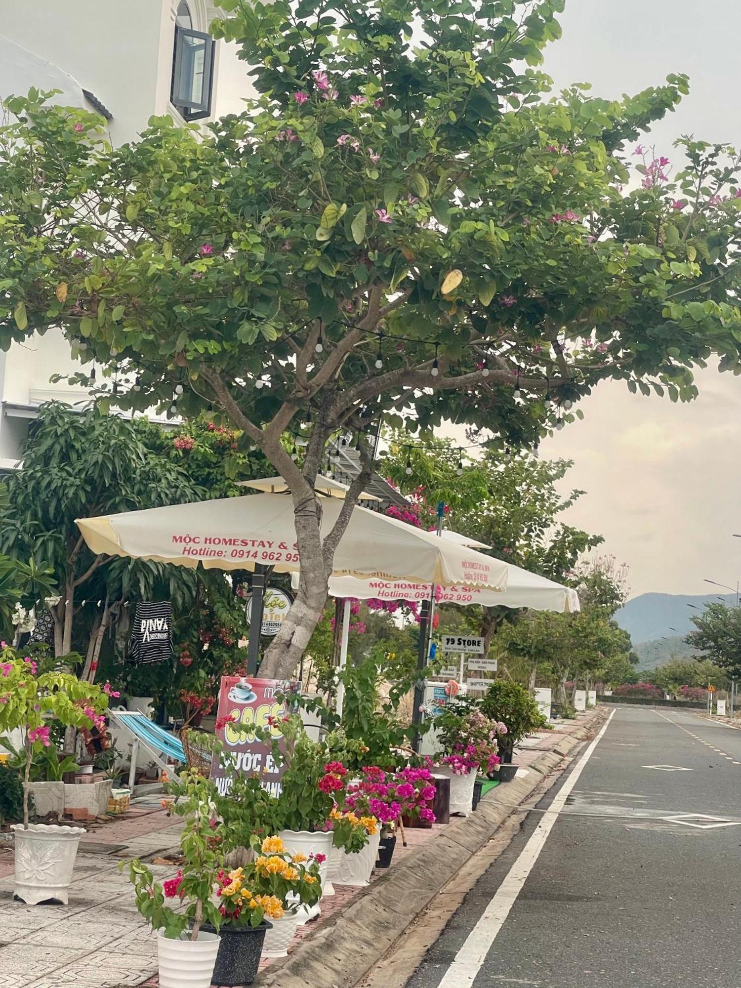 Moc Homestay- Near Bai Dai Beach Cam Lam Buitenkant foto